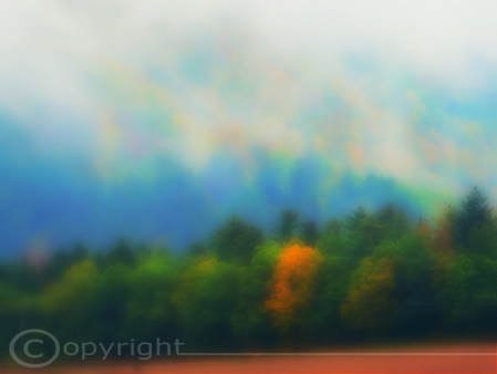 Verschwommene Landschaft Das Foto zeigt im Vordergrund einen Waldrand mit einem einzigen orangefarbenen Baum. Das Feld davor ist rotbraun. Die Bäume sind leicht verschwommen. Der Hintergrund ist vollkommen verschwommen. Man könnte weitere Bäume in Blautönen und helle Wolken vermuten, dazwischen aber auch braun- und orangefarbene Bäume.